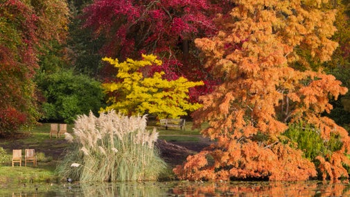 Autumn scene at Sheffield Park and Garden, East Sussex